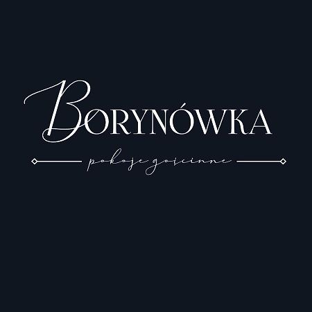 Willa Borynowka Kazimierz Dolny Exteriör bild