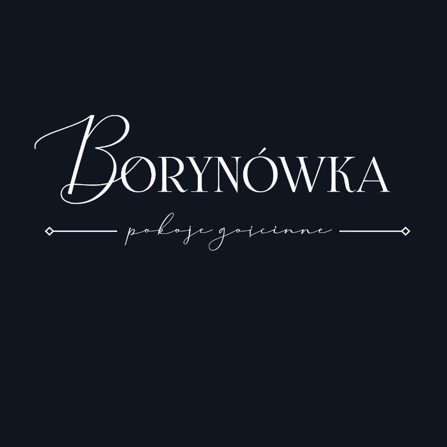 Willa Borynowka Kazimierz Dolny Exteriör bild